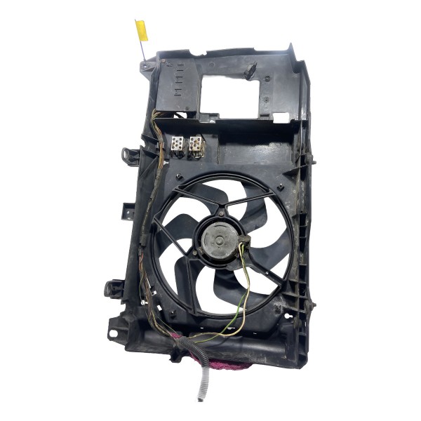 Eletro Ventilador Com Grade Do Picasso Original