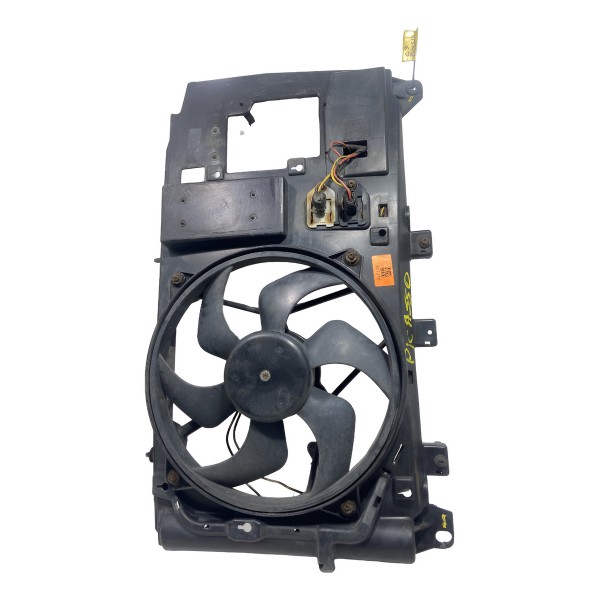 Eletro Ventilador Com Grade Do Picasso Original