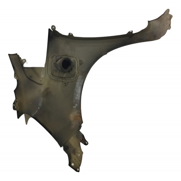 Paralama Direito Honda Fit 2009 A 2014 Cinza