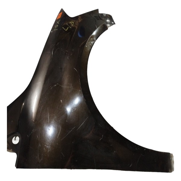 Paralama Dianteiro Direito Volkswagen Fox 2006 A 2009