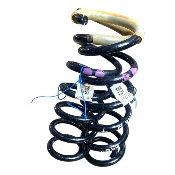 Par De Mola Traseira Fiat Argo 2018 A 2020 Original